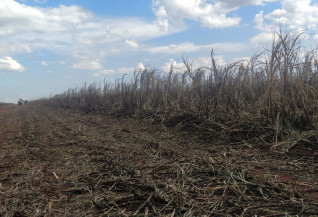 A empresa sucroenergética foi autuada administrativamente e foi multada em R$ 163 mil (Imagem: Polícia Ambiental Militar) A empresa sucroenergética foi autuada administrativamente e foi multada em R$ 163 mil (Imagem: Polícia Ambiental Militar)